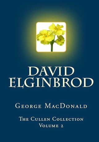 Cover image: David Elginbrod 9780795351945