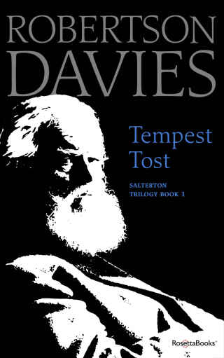Omslagafbeelding: Tempest Tost 9780795352577
