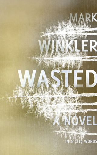 Cover image: Wasted 1st edition 9780795706998