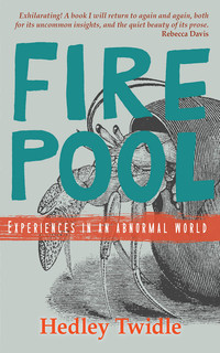 Cover image: Firepool 1st edition 9780795708046