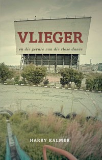 Cover image: Vlieger 1st edition 9780795800429
