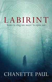 Cover image: Labirint 1st edition 9780795801051