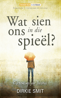 Cover image: Wat sien ons in die spieël 2nd edition 9780796316820