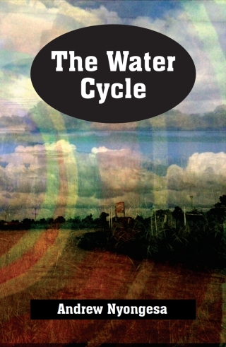 Omslagafbeelding: The Water Cycle 9780797494398