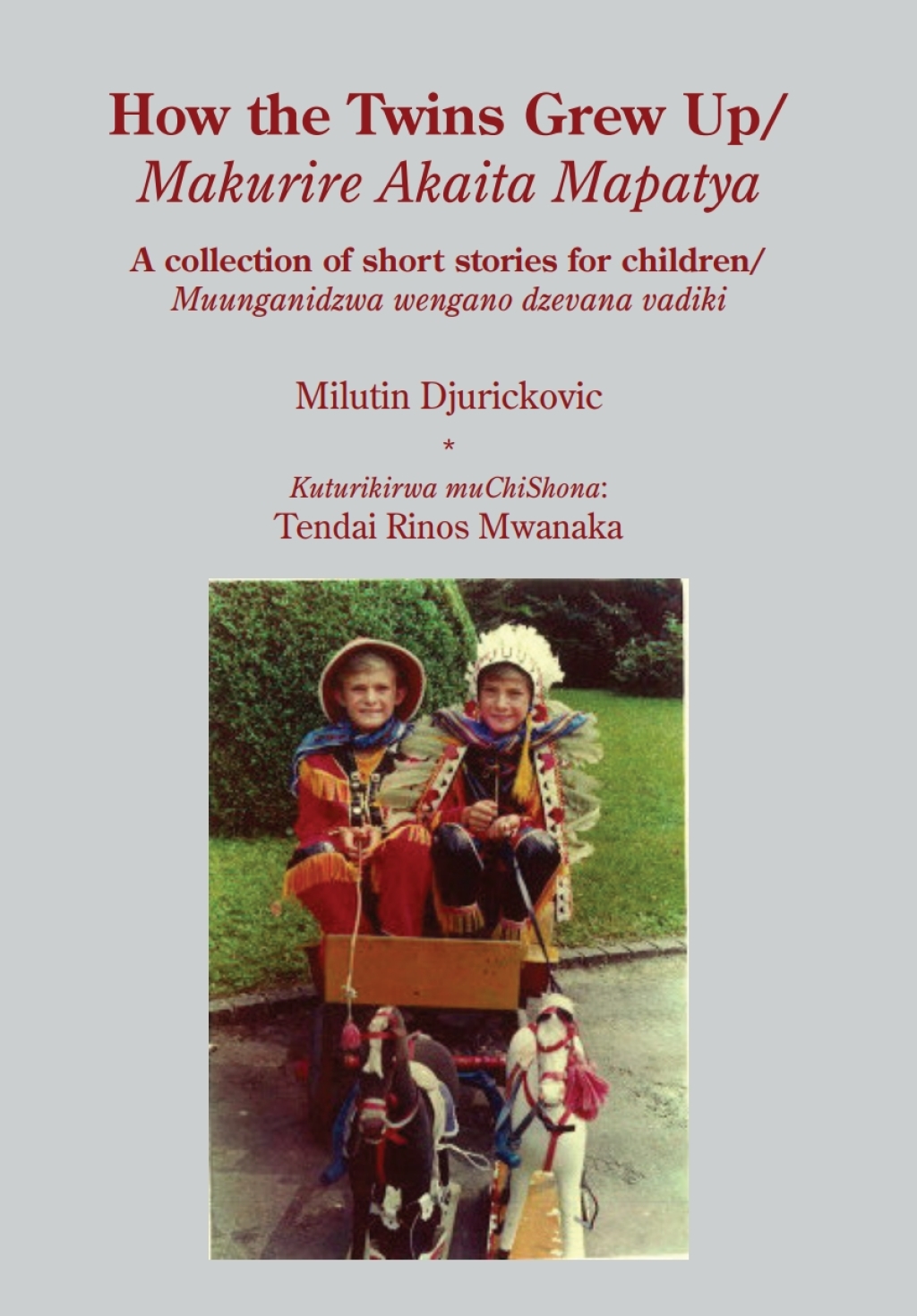 How the Twins Grew Up A collection of short stories for children 1st Edition