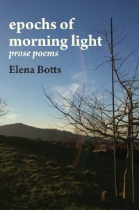 Cover image: epochs of morning light: prose poems 9780797486171