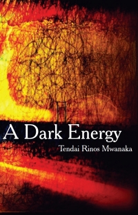 Cover image: A Dark Energy 9780797493339