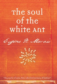 Omslagafbeelding: Soul of the White Ant, The 1st edition 9780798145930