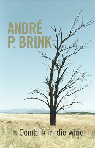 Imagen de portada: 'n Oomblik in die wind 1st edition 9780798145190