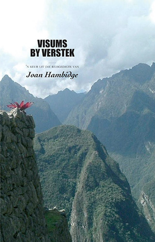 Cover image: Visums by verstek 1st edition 9780798154819