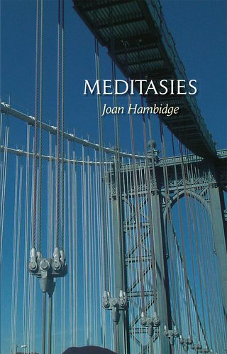 Imagen de portada: Meditasies 1st edition 9780798165075