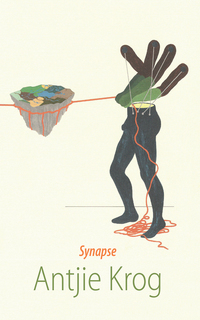 Cover image: Synapse 1st edition 9780798167901