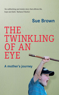 صورة الغلاف: The Twinkling of an Eye 1st edition 9780798174794