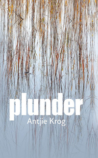 Cover image: Plunder 1st edition 9780798183178