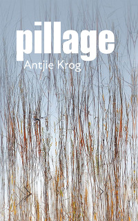 Imagen de portada: Pillage 1st edition 9780798183185