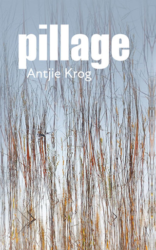 Cover image: Pillage 1st edition 9780798183185