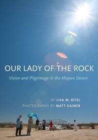 Imagen de portada: Our Lady of the Rock 1st edition 9780801456626