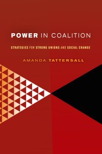 صورة الغلاف: Power in Coalition 1st edition 9780801476068