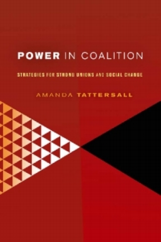 صورة الغلاف: Power in Coalition 9780801476068