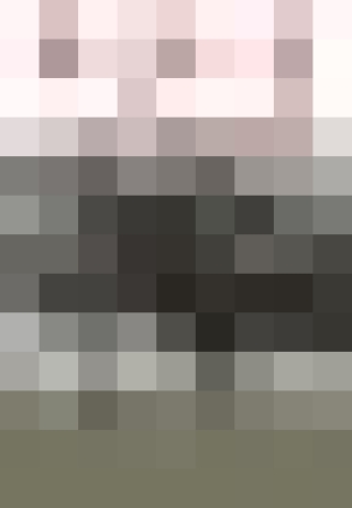 Imagen de portada: Sorry States 1st edition 9780801446252