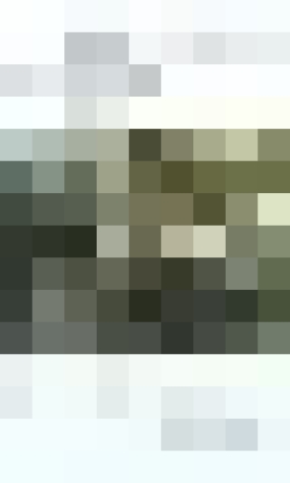 Cover image: Life Support 1st edition 9780801474286