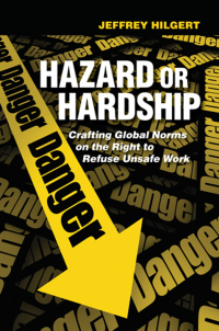 表紙画像: Hazard or Hardship 1st edition 9780801451898