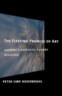 Imagen de portada: The Fleeting Promise of Art 1st edition 9780801478987