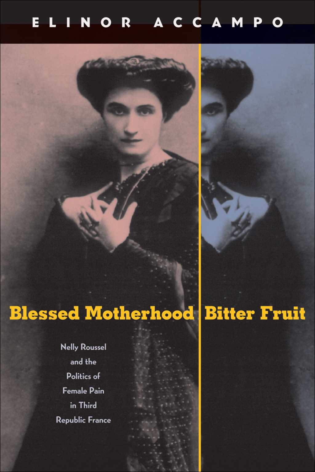 Blessed Motherhood, Bitter Fruit Nelly Roussel and the Politics of Female Pain in Third Republic France