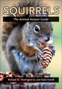 Cover image: Squirrels 9780801884030