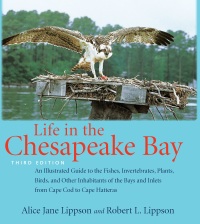Titelbild: Life in the Chesapeake Bay 3rd edition 9780801883385
