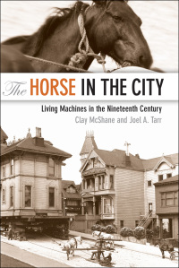 Imagen de portada: The Horse in the City 9780801886003