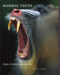 Cover image: Mammal Teeth 9780801896682