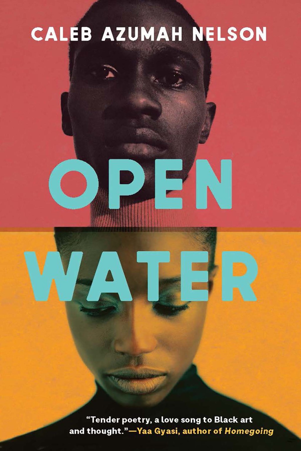 Open Water eBook