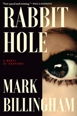 Imagen de portada: Rabbit Hole 9780802159908