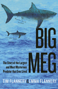 Cover image: Big Meg 9780802162588