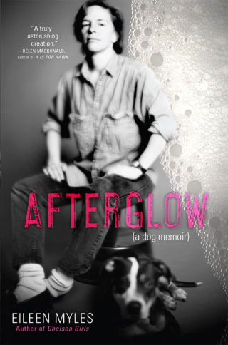 Imagen de portada: Afterglow 9780802128553
