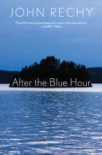 Imagen de portada: After the Blue Hour 9780802127563