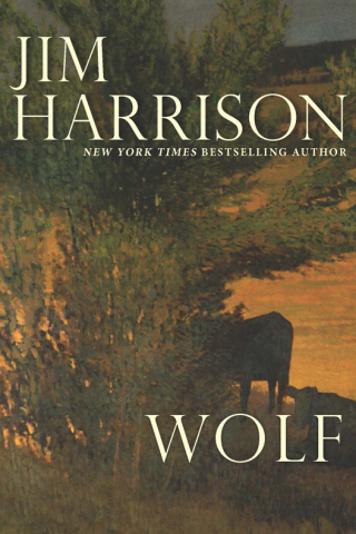 Imagen de portada: Wolf 9780802128874