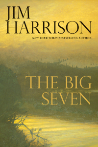 Cover image: The Big Seven 9780802123336