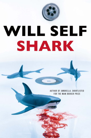 Imagen de portada: Shark 9780802124173