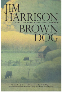 Cover image: Brown Dog 9780802122865