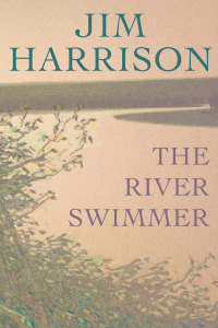 Omslagafbeelding: The River Swimmer 9780802122209