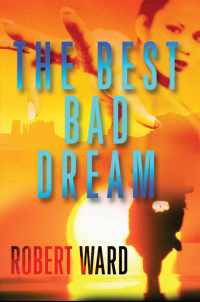 Cover image: The Best Bad Dream 9780802155078