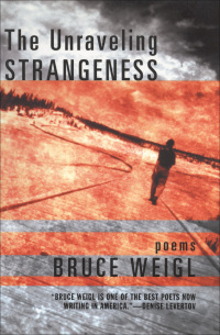 Cover image: The Unraveling Strangeness 9780802139382