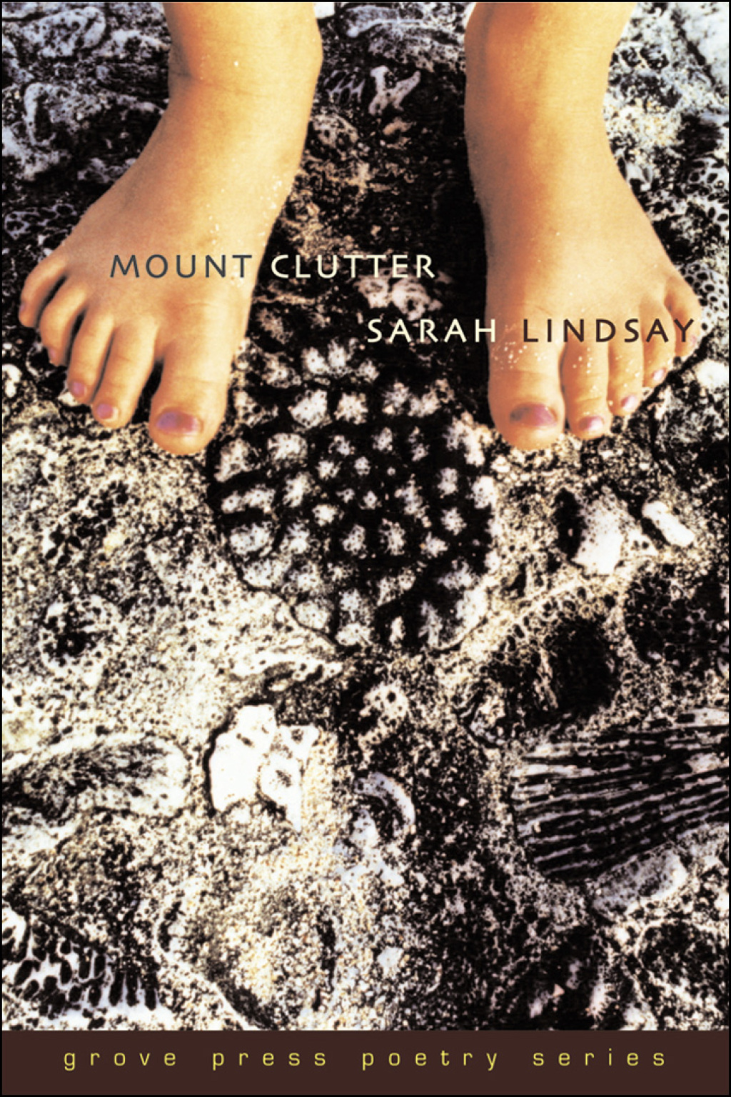 Mount Clutter (eBook)