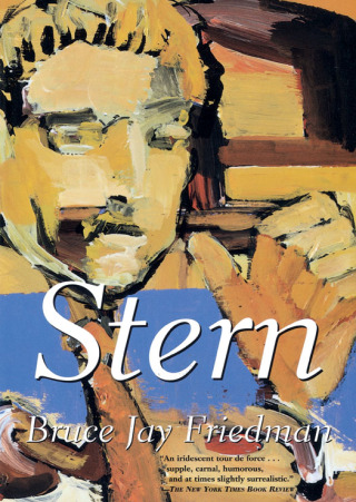 صورة الغلاف: Stern 9780802197436