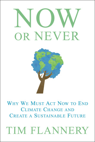 Cover image: Now or Never 9780802198969