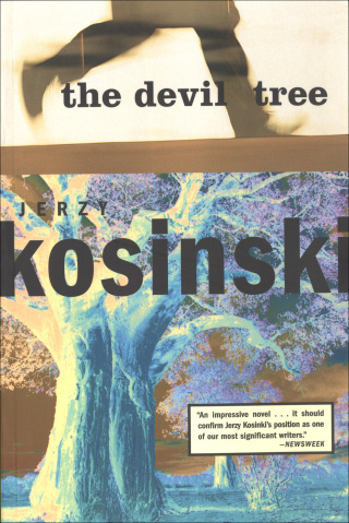 Cover image: The Devil Tree 9780802139658