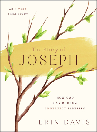 Cover image: The Story of Joseph 1st edition 9780802434562