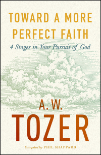 Imagen de portada: Toward a More Perfect Faith 9780802430700